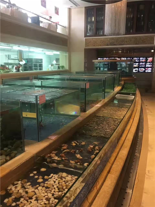 海鮮池玻璃