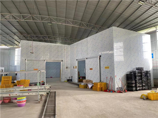 專(zhuān)業(yè)冷庫(kù)維修